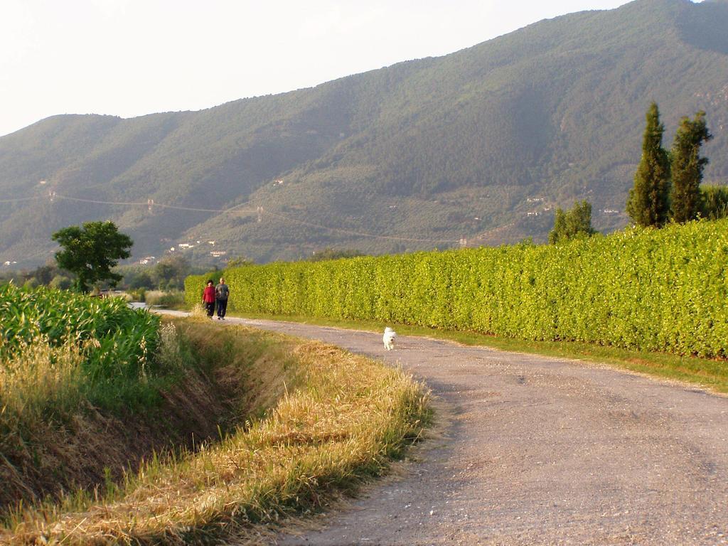 Séjour à la ferme La Pisana *
