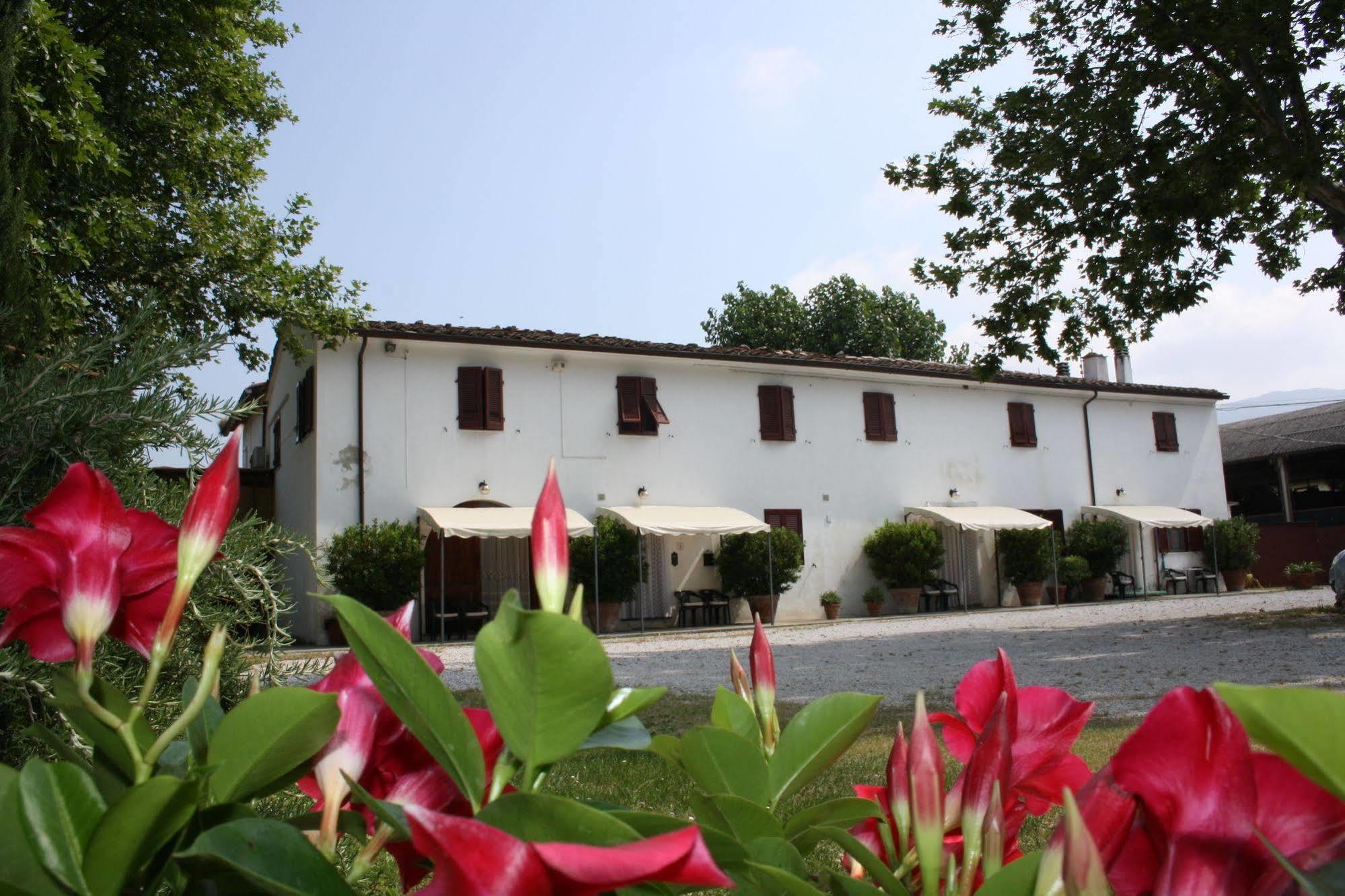 La Pisana